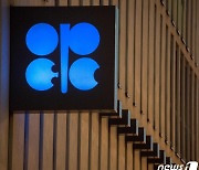 "앙골라 OPEC 탈퇴 영향력 제한적…OPEC 정치적 타격"