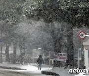 한파 덮친 제주