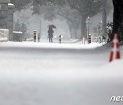 한파 덮친 제주