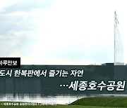 [하루만보]도시 한복판에서 즐기는 자연…세종호수공원