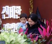 [포토] 따뜻한 온실에서 즐기는 '열대 크리스마스'