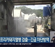 부산, 아프리카돼지열병 검출…긴급 차단방역