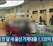 10월 한 달 새 울산 가계대출 1,135억 원 늘어