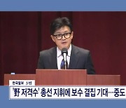 '野 저격수' 총선 지휘에 보수 결집 기대…중도 확장이 숙제