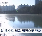 최강 한파에 호수·폭포 '꽁꽁'…충남 바다까지 얼었다