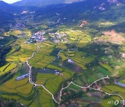 법무사협 "코로나에 묻힌 부동산등기 특조법안, 조속 통과돼야"