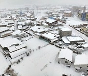 광주·전남 최대 30.8㎝ 폭설…“눈길사고 잇따라·하늘 뱃길 통제”