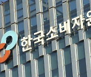 막무가내 다이슨 AS 정책으로 헤어드라이어 소비자 상담 263% 증가