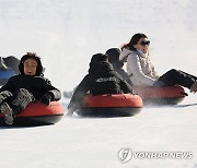 눈썰매 즐기는 시민들