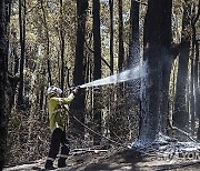 AUSTRALIA BUSHFIRES WA