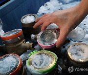 전국 최강 한파에 수도계량기 동파 220건 넘게 속출(종합2보)