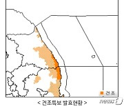 강원 영동·중남부산간 건조특보…실효습도 30％ 안팎 '화재 가능성↑'