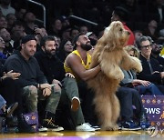 우와! NBA 코트에 대형견, 알고보니 연수입 19억원 엄청난 갑부?