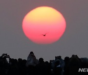 연말 앞둔 부산, 해안가 곳곳서 '청룡의 해' 맞이 행사 한가득