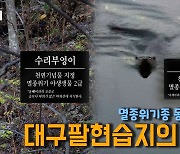 동짓날 둘러본 팔현습지... '공존의 질서'를 지키기 위해선