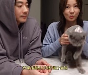 '권상우♥' 손태영, 명품 H사 그릇→T사 아이들 컵…으리으리한 주방 공개! ('Mrs.뉴저지 손태영')