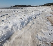 전국 맑다가 오후부터 일부 흐림…서울 아침 -12도