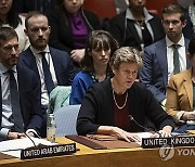 Israel Palestinians UN Security Council