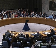 Israel Palestinians UN Security Council