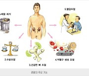 [위클리 건강] "만성콩팥병 주범은 당뇨병·고혈압…치료 적기 놓치지 말아야"