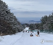 눈썰매장 된 제주 산지