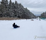 눈썰매장 된 제주 산지