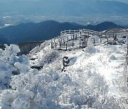 눈꽃 세상 펼쳐진 지리산