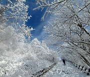 눈꽃 세상 펼쳐진 지리산