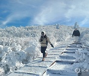 눈꽃 세상 펼쳐진 지리산