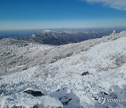 설산으로 변신한 지리산