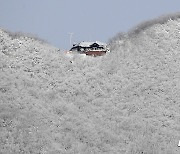 [오늘의 날씨] 부산·경남(24일, 일)…서부경남 오전까지 1~3㎝ 눈