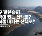 [들어보니] 대구 팔현습지에 만드는 '사색이 있는 산책로'···'동식물 떠나는 산책로' 되나? | 빅벙커