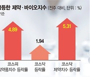 제약·바이오도 연말랠리 가세… 내년에도 웃을까