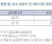 "해외사업 성공하려면 보험사 CEO 임기 보장해야"