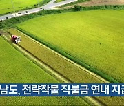 전남도, 전략작물 직불금 연내 지급