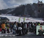 강추위 잦아들자 설원으로…강원 스키장 ‘북적’