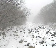 제주 산지에 최고 8cm 눈…산간도로 일부 통제