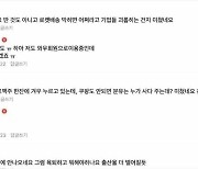 "네이버 할인·쿠팡 로켓배송 사라지나" 온플법 재추진에 우려↑