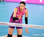 김연경 '조금 더 집중해서'[포토]