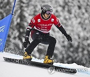 Switzerland Alpine Snowboard