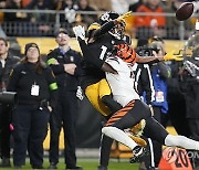 Bengals Steelers Football