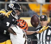 Bengals Steelers Football