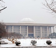 민주당 "성탄의 기쁨, 모든 국민에 깃들길"…성탄 메시지