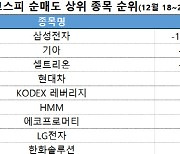 코스피 주간 개인 순매도 1위 '삼성전자'