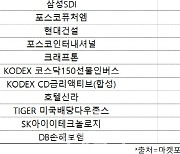 코스피 주간 개인 순매수 1위 'DS단석'