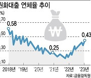 10월 국내은행 원화대출 연체율 0.43%…"신규 연체도 상승"