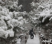 눈 맞으며 등산하는 시민들