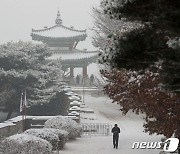 눈 구경 나온 시민들