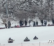 '스키만큼 썰매도 인기' 반가운 화이트 크리스마스