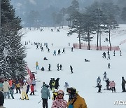 '즐거운 화이트 크리스마스' 북적이는 원주 오크밸리 스키장